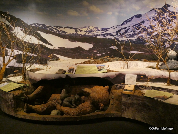 07 Kodiak National Wildlife Refuge Visitor Center