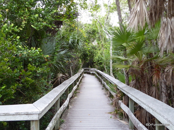 07 Mahogany Hammock Trail