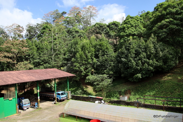 07 Mi Cafecito Coop Plantation Tour