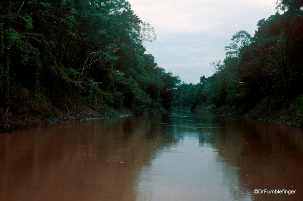 07 Peruvian Amazon