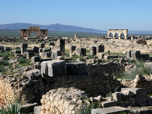 07 Volubilis