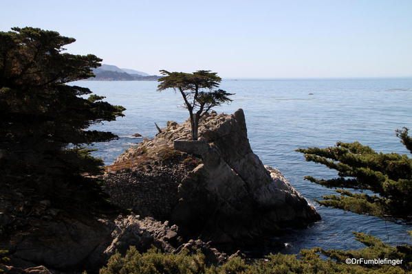 Seventeen Mile Drive, Lone Cypress