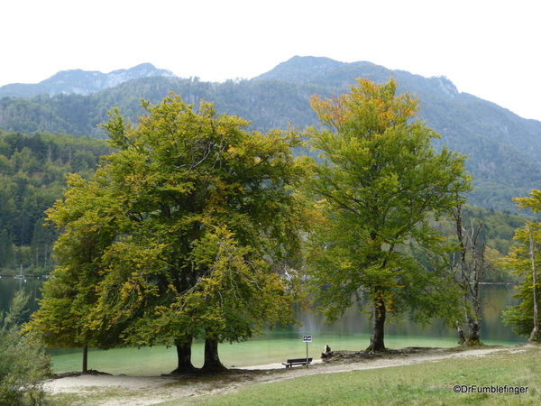 07a Lake Bohinj, Slovenia (30)