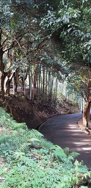 08 2019-10-27 Georgia Batumi Botanical Garden Mtirala National Park 22