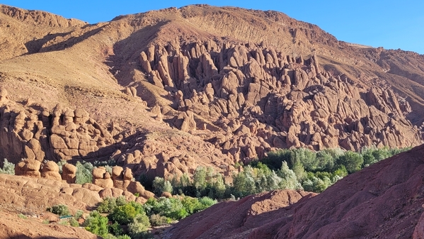 08 2023-09-16 Morocco Dades Gorge Monkey Toes 12