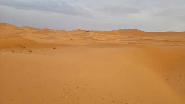 08 2023-09-17 Morocco Merzouga Desert Camel Safari 061