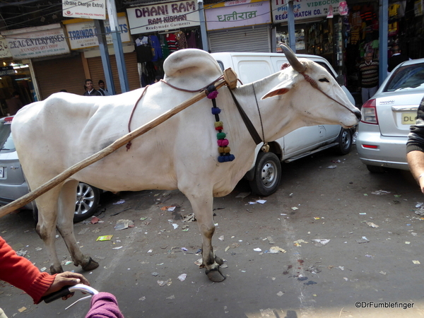 08 Chandi Chowk Market (100)