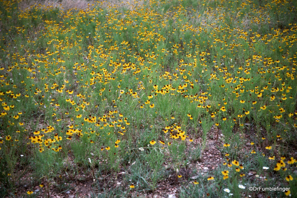 08 Enchanted Rock, Texas