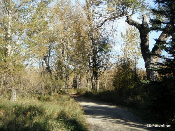 08 Fish Creek Provincial Park