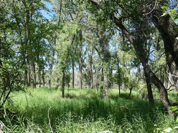 08 Helen Schuler Nature Centre Hike