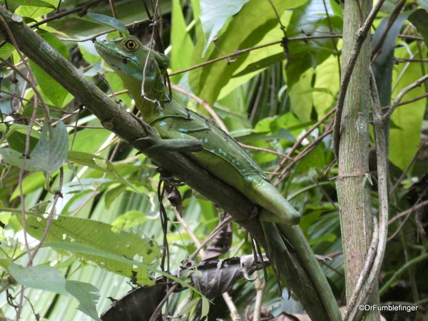 08 Turtle Bay Wilderness hike (79)