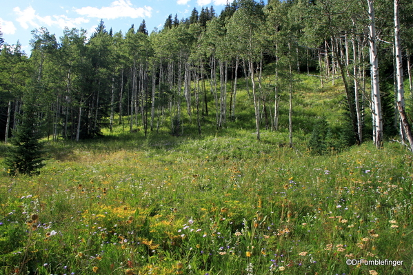 08 Upper Piney River Falls Trail