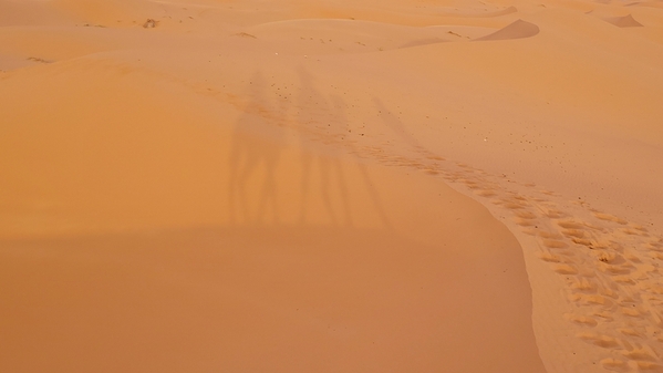 09 2023-09-17 Morocco Merzouga Desert Camel Safari 078