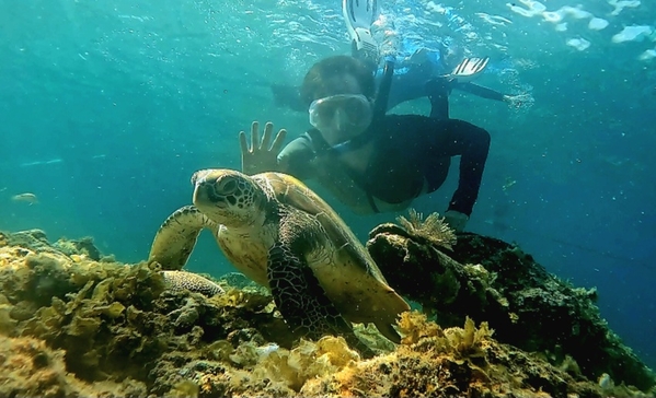 Cleaning station for a sea turtle in Moalboal