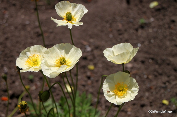 09 Cascade Gardens, Banff