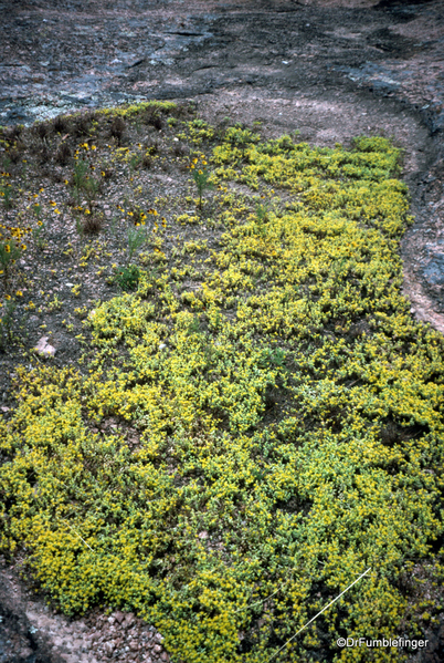 09 Enchanted Rock, Texas