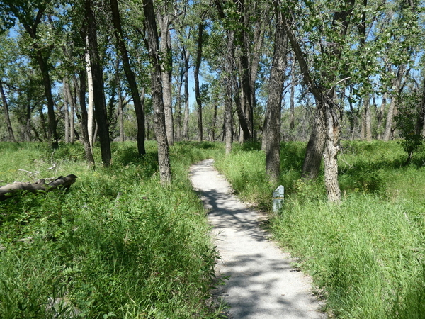 09 Helen Schuler Nature Centre Hike