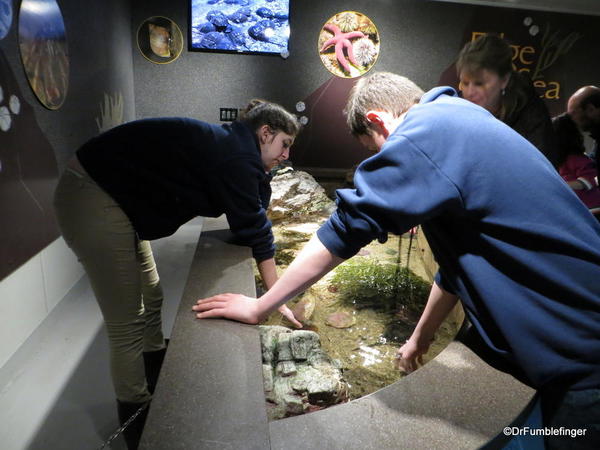 09 New England Aquarium