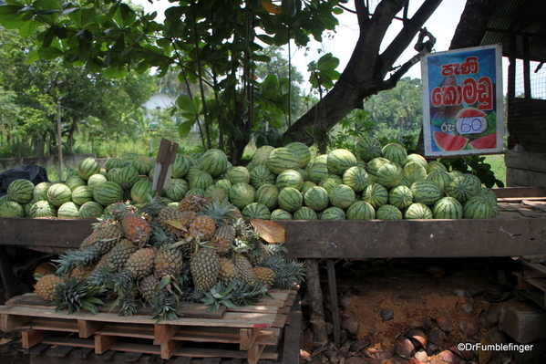 09 Roadside markets Trip to Nuwara Eliya, Sri Lanka (19)