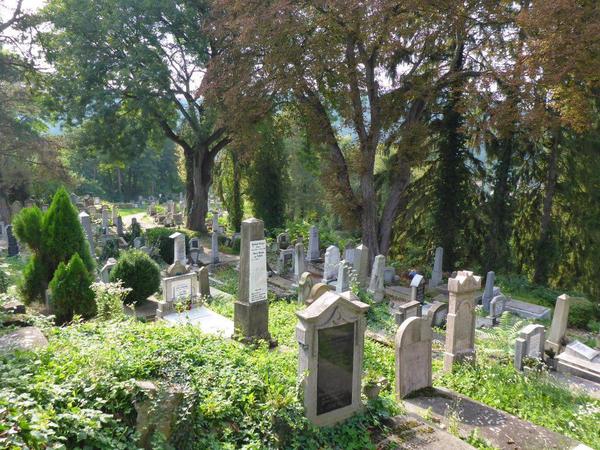 09 Sighisoara. Cemetery atop the hill