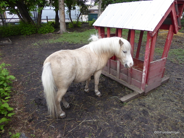 09 Sunnybrook farm