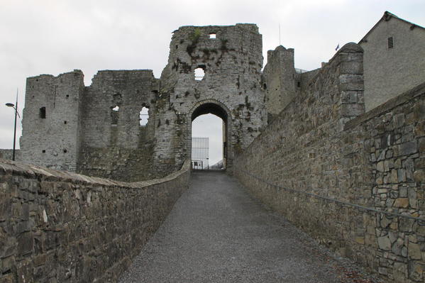 Trim Castle