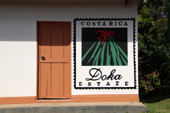 10-04 Doka Coffee Plantation (24)