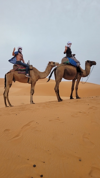 10 2023-09-17 Morocco Merzouga Desert Camel Safari 036