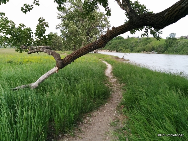 10 Fish Creek Provincial Park