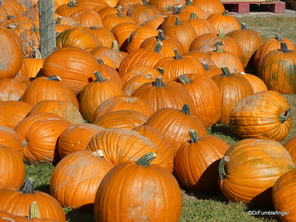 10 Harvest Festival, Green Bluff