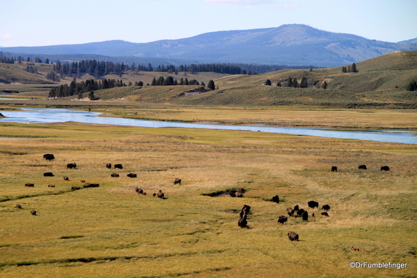 10 Hayden Valley and Yellowstone River