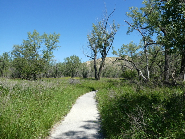 10 Helen Schuler Nature Centre Hike