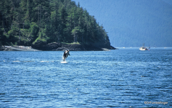 10 Johnstone Strait