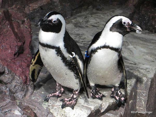 10 New England Aquarium