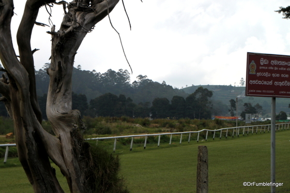 10 Nuwara Eliya