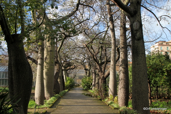 10 Orto Botanico