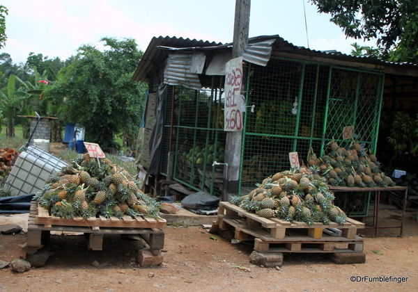 10 Roadside markets Trip to Nuwara Eliya, Sri Lanka (22)