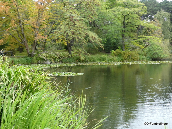 10 Royal Botanical Garden Copenhagen