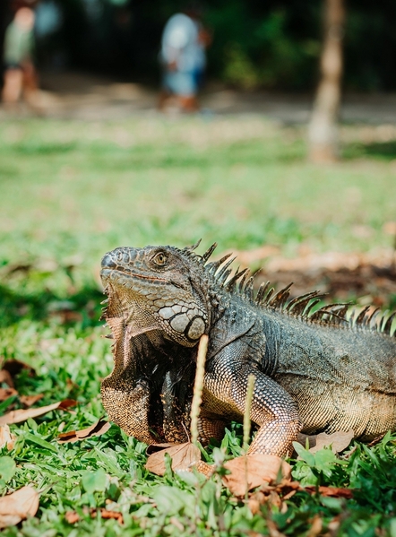 10_pexels-camilo-ospina-16549530