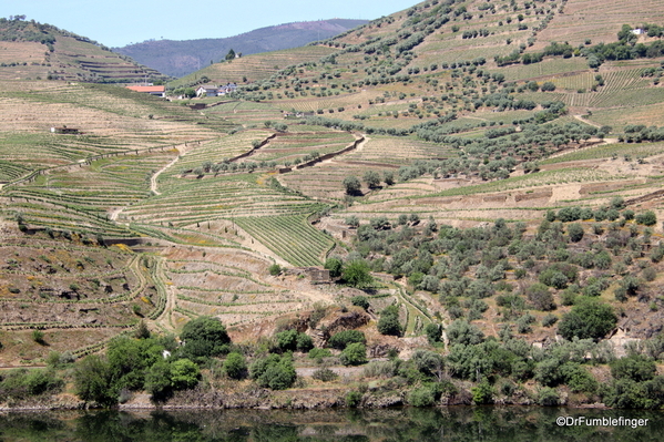 11 Duoro Valley