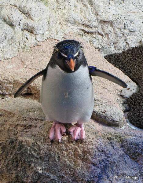 11 New England Aquarium