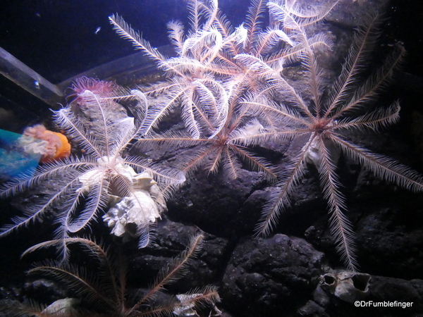 11 Seward Sealife Center