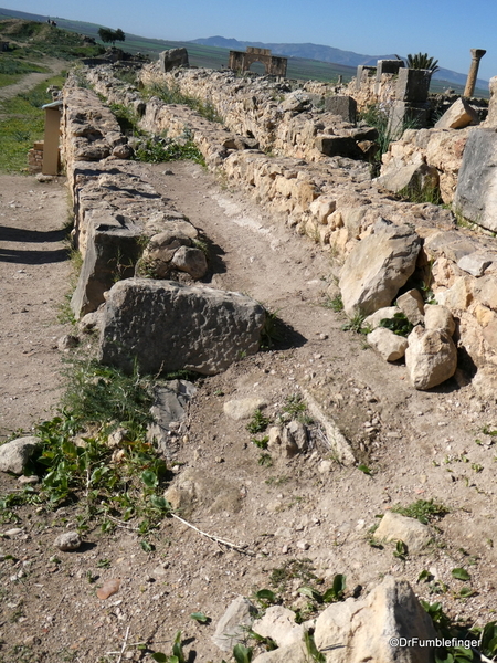 11 Volubilis