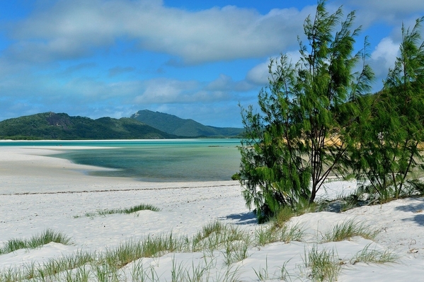 11_whitsunday-island-Coral_1280