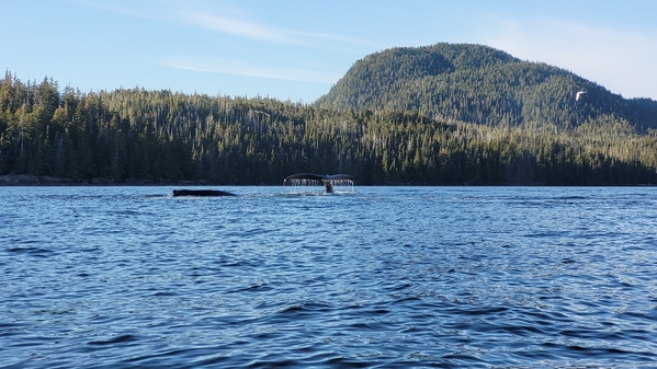 120 2022-09-17_Alaska Ketchikan Sea Kayaking 089