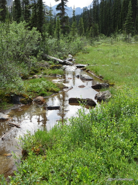 12 Annette Lake, Banff NP