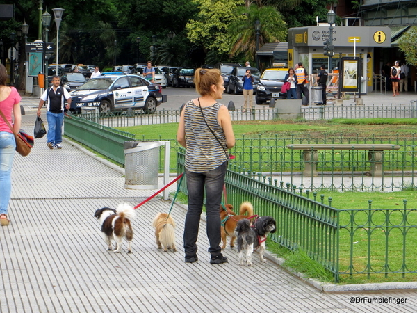 12 Around Recoleta