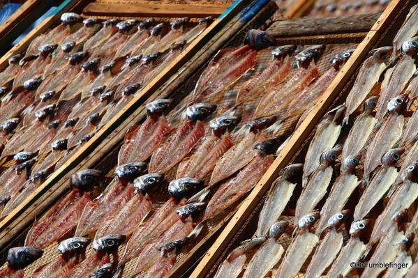 12 Drying Fish, Nazare beach