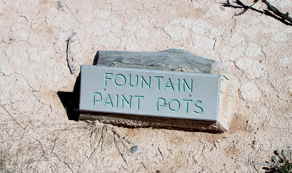 12 Fountain Paint Pots