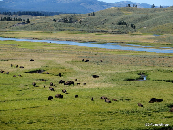 12 Hayden Valley and Yellowstone River